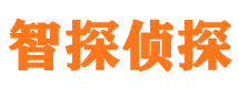 津南外遇调查取证